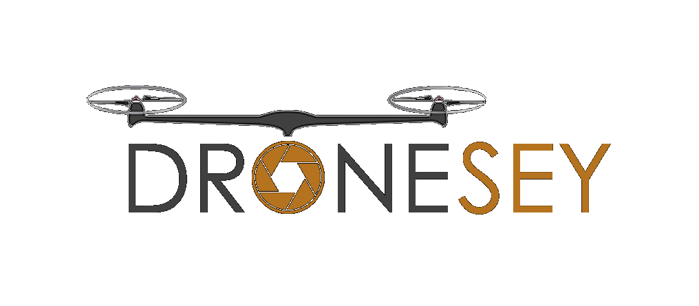 Dronesey logo